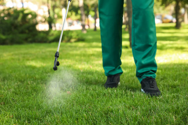Best Best Pest Control Companies  in West Carrollton, OH