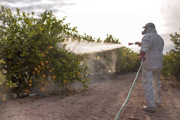Insect Control in West Carrollton, OH