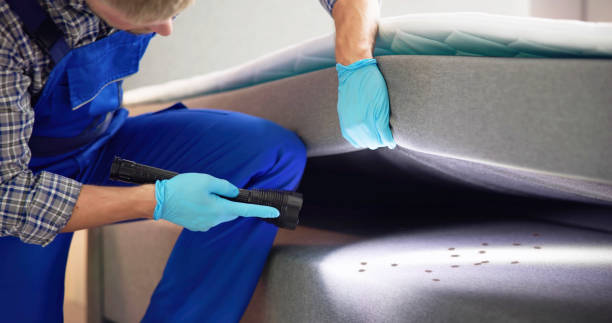 Best Pest Prevention Services  in West Carrollton, OH