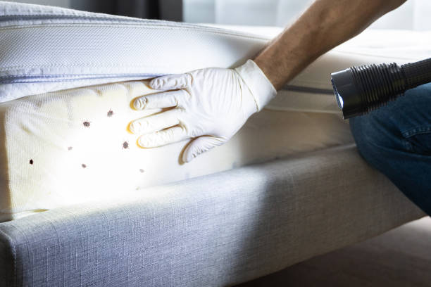Best Pest Control for Restaurants  in West Carrollton, OH