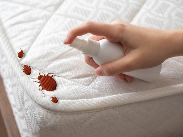 Best Local Pest Control Services  in West Carrollton, OH