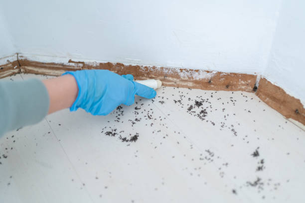 West Carrollton, OH Pest Control Company