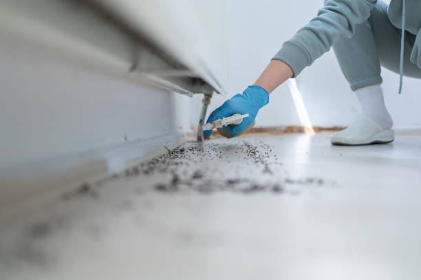 Pest Control for Restaurants in West Carrollton, OH